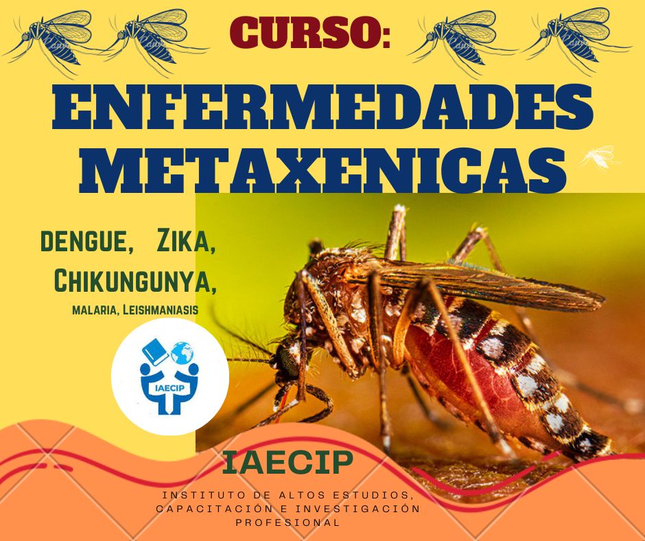 ENFERMEDADES METAXENICAS : ZICA, DENGUE, CHIKUNGUNYA LEISMANIASIS