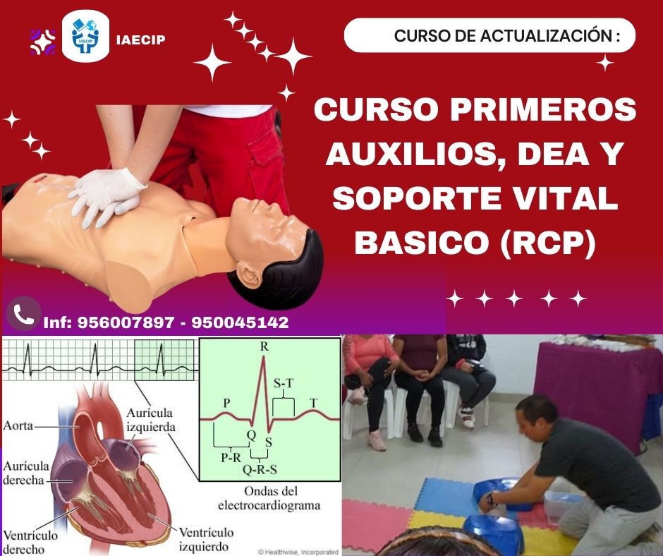 CURSO PRIMEROS AUXILIOS, DEA Y SOPORTE VITAL BASICO (RCP)